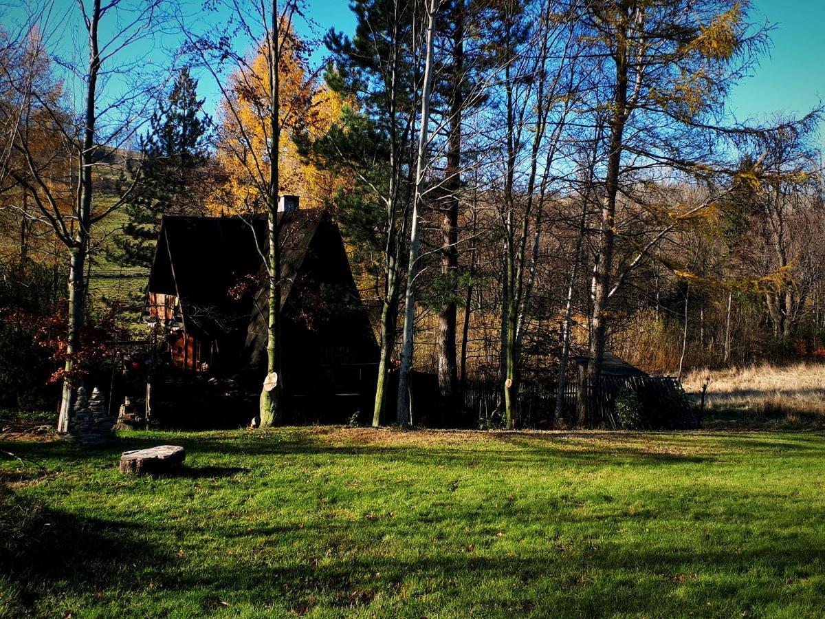 'chata Usowek' Chalet Walim (Lower Silesia)