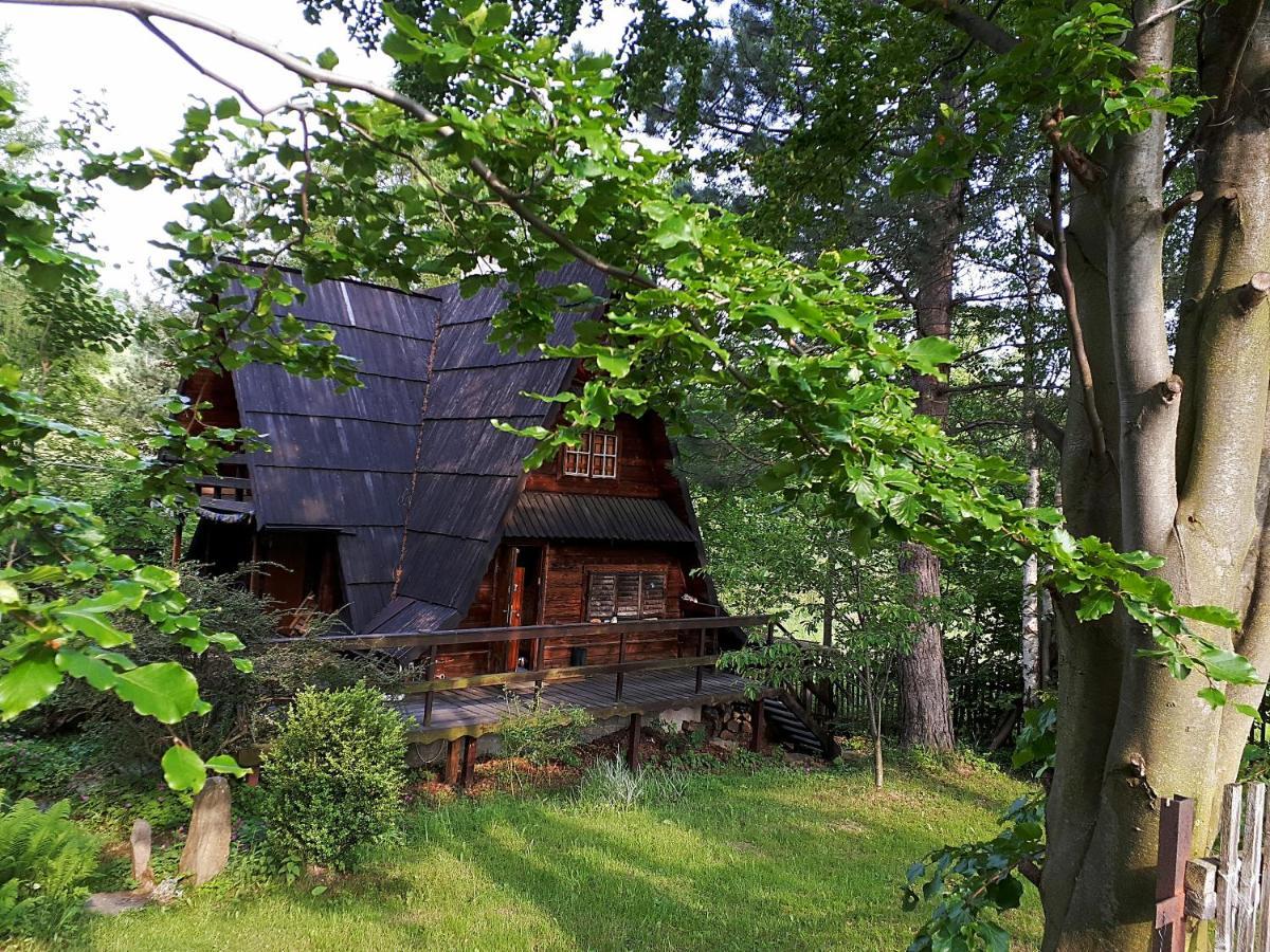 Chalet 'chata Usowek' Walim (Lower Silesia)