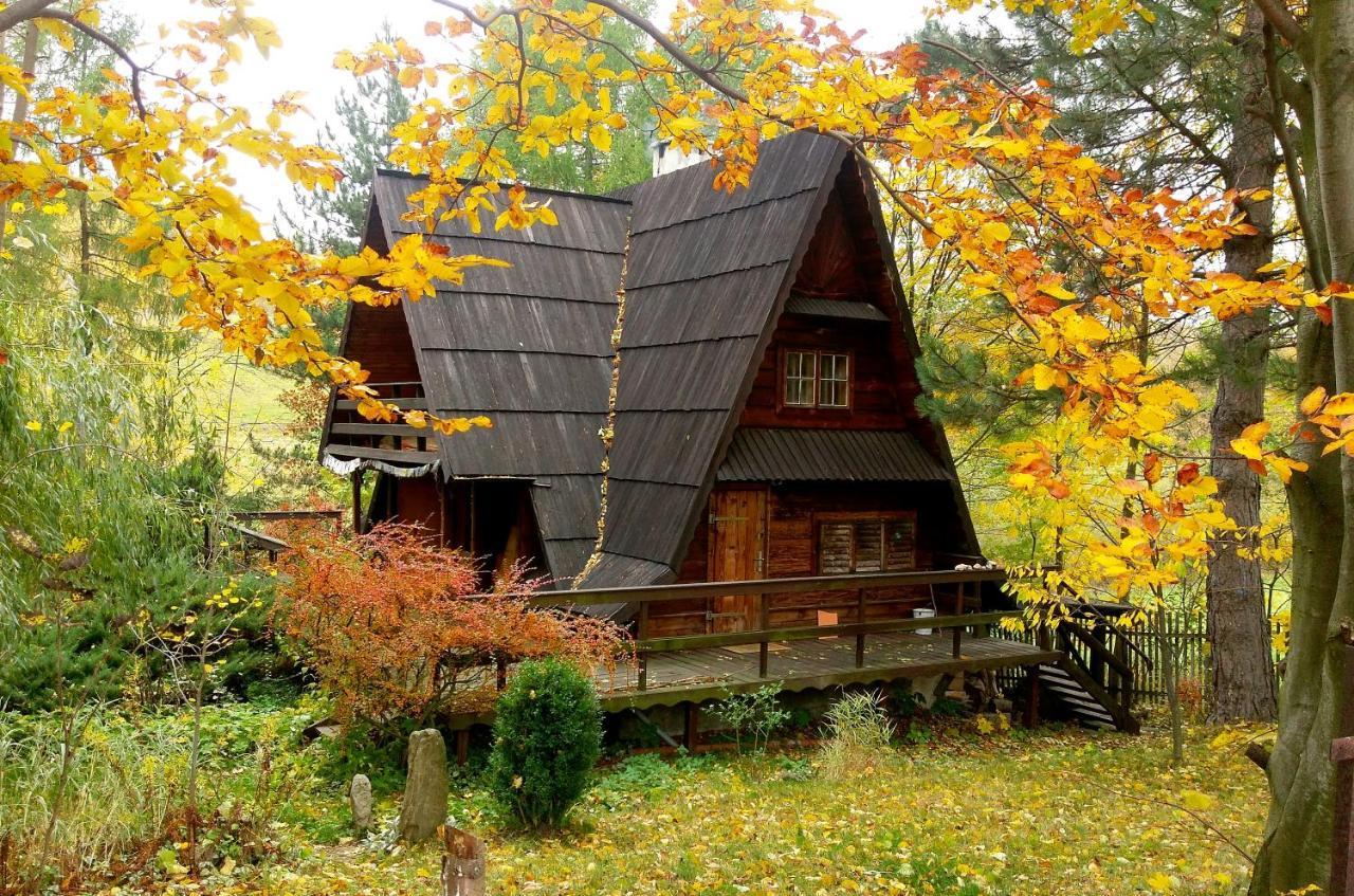 Chalet 'chata Usowek' *