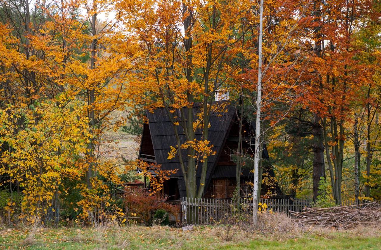 'chata Usowek' Chalet Walim (Lower Silesia)