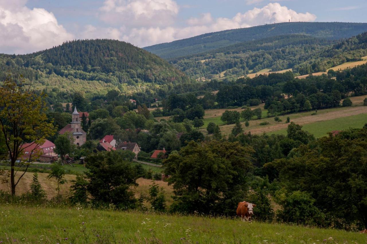 'chata Usowek' Chalet *