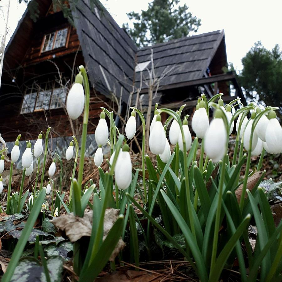 'chata Usowek' Chalet